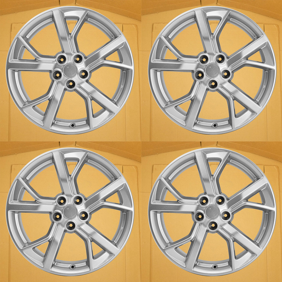 101X4_52de49bb-c698-4412-a384-