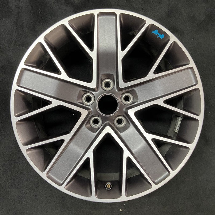20" WRANGLER 22-23 20x8 5 spoke double spoke Original OEM Wheel Rim - Additional View