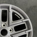 17" GLADIATOR 24 17x7.5 aluminum double spoke opt WFD Original OEM Wheel Rim - Close-Up Detail