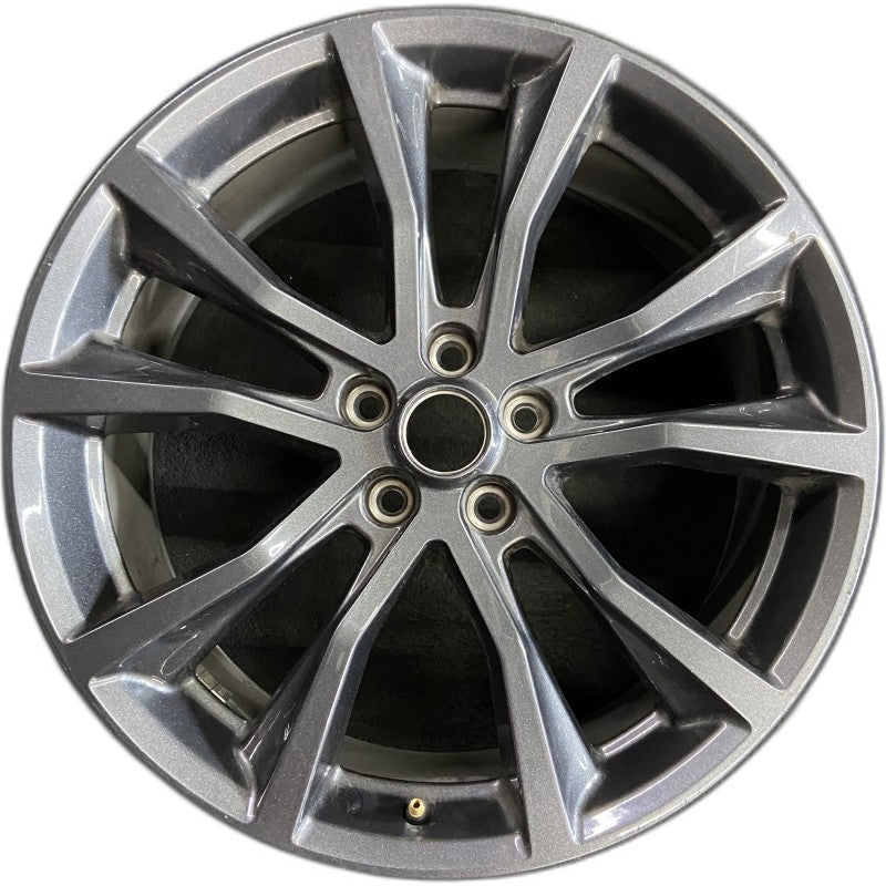 The Outer Rim サイン入り 20