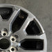 20" SEQUOIA 23 20x8 6 Y spoke Original OEM Wheel Rim - Close-Up Detail