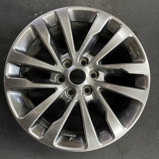 20" EXPEDITION 18-19 20x8.5, 12 spoke Original OEM Wheel Rim - Angle View