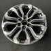 20" CANYON 23-24 20x9, machined dark gray , Y spoke Original OEM Wheel Rim - Close-Up Detail