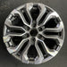 20" CANYON 23-24 20x9, machined dark gray , Y spoke Original OEM Wheel Rim - Angle View