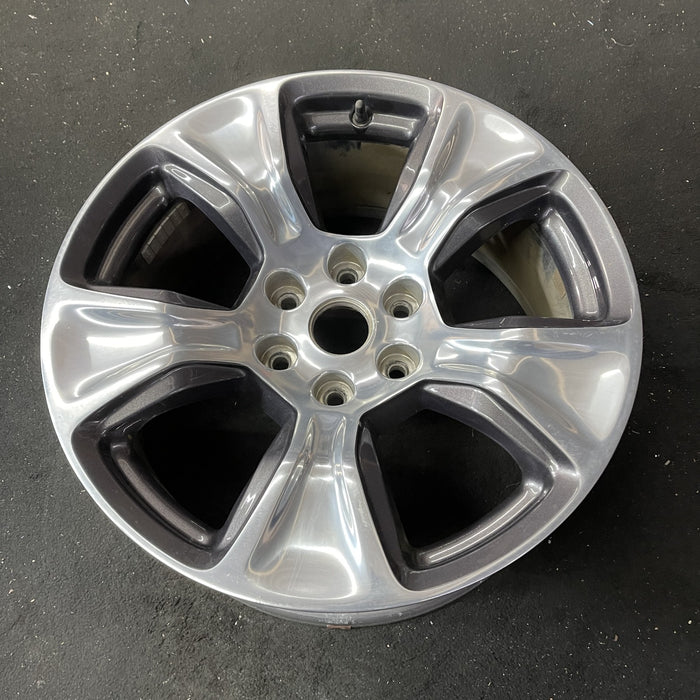 20" DODGE 1500 PICKUP 19-21 , 20x9, , 5 spoke, opt WRB Original OEM Wheel Rim - Close-Up Detail