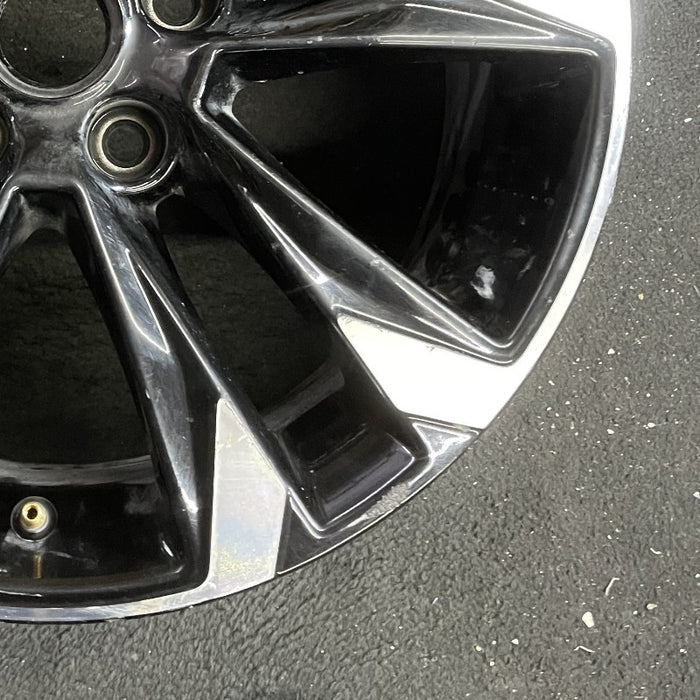 17" TRAILBLAZER 21-23 17x7.5 5 double spoke gloss black opt Q6V Original OEM - Back View