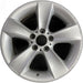 17" BMW Z4 06-08 17x8 , 5 spoke, single spoke Original OEM Wheel Rim - Front View