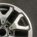 17" FORD F150 RAPTOR 21-23 17x8.5 aluminum 6 spoke V spoke silver Original OEM - Close-Up Detail