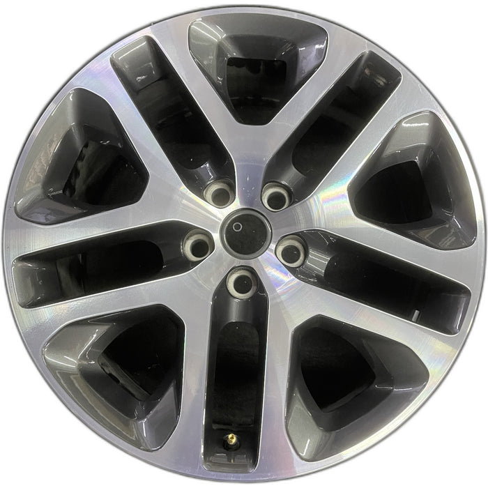 20" DEFENDER 20-24 20x8.5, 5 spoke, double spoke Original OEM Wheel Rim - Front View