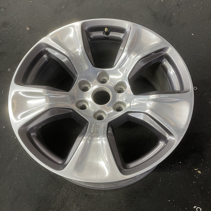 20" DODGE 1500 PICKUP 19-21 , 20x9, , 5 spoke, opt WRB Original OEM Wheel Rim - Close-Up Detail