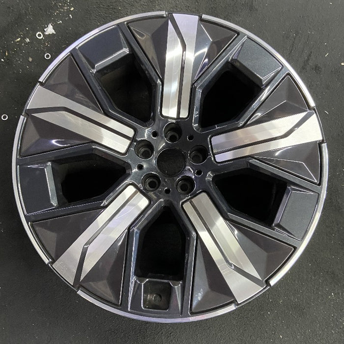 21" IX 22-24 21x9 5 spoke silver spoke dark gray inlay Original OEM Wheel Rim - Front View