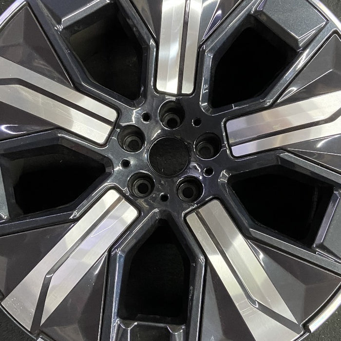 21" IX 22-24 21x9 5 spoke silver spoke dark gray inlay Original OEM Wheel Rim - Angle View
