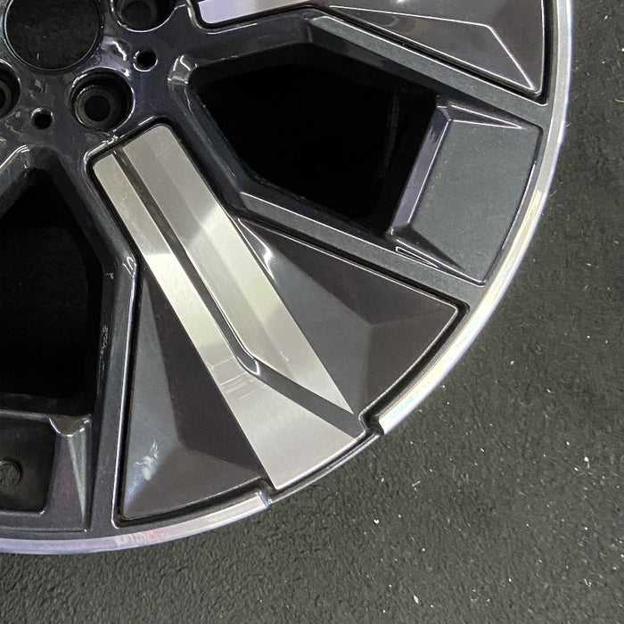21" IX 22-24 21x9 5 spoke silver spoke dark gray inlay Original OEM Wheel Rim - Back View