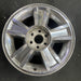 20" AVALANCHE 1500 09-10 20x8.5, 5 spoke, covered lug nuts, grooved spoke - Angle View