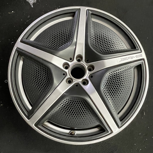 21" EQS-CLASS SUV 23 296 Type, 21x9.5, 5 spoke, w/o cladding; w/o mesh - Angle View