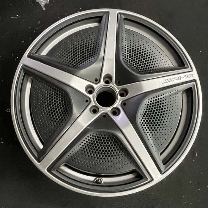 21" EQS-CLASS SUV 23 296 Type, 21x9.5, 5 spoke, w/o cladding; w/o mesh - Angle View
