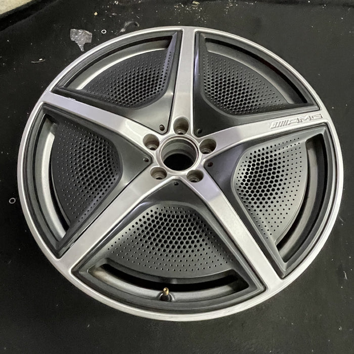 21" EQS-CLASS SUV 23 296 Type, 21x9.5, 5 spoke, w/o cladding; w/o mesh - Side Profile