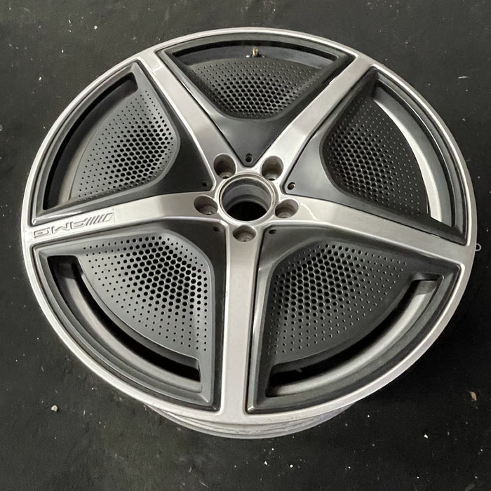 21" EQS-CLASS SUV 23 296 Type, 21x9.5, 5 spoke, w/o cladding; w/o mesh - Close-Up Detail