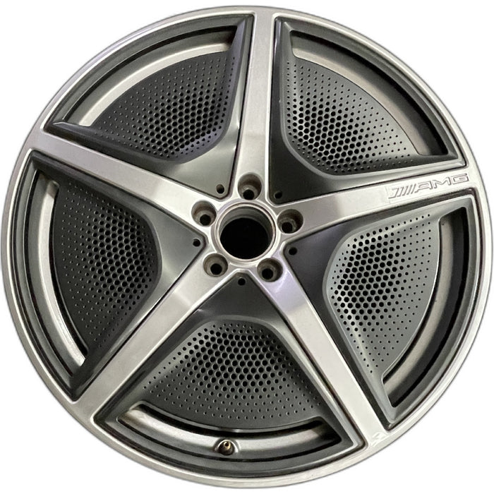 21" EQS-CLASS SUV 23 296 Type, 21x9.5, 5 spoke, w/o cladding; w/o mesh - Front View
