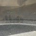 17" FORD F150 RAPTOR 17-20 , 6 spoke Original OEM Wheel Rim - Back View