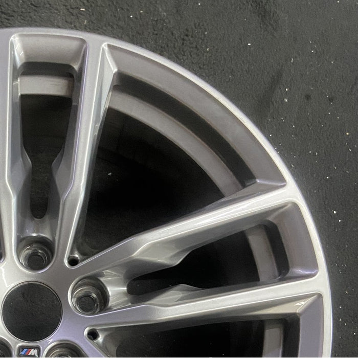 19" BMW X3 21 19x7.5 alloy frt or rear 5 spoke double spoke gray Original OEM - Close-Up Detail