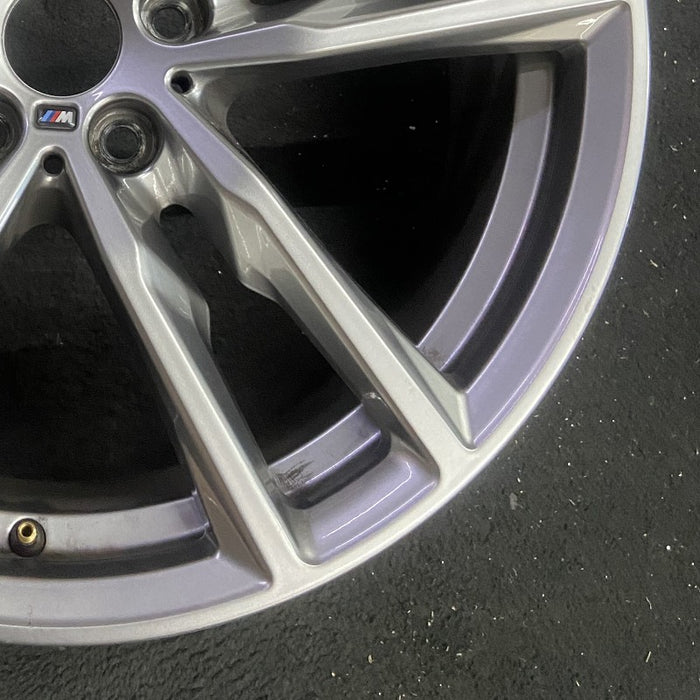 19" BMW X3 21 19x7.5 alloy frt or rear 5 spoke double spoke gray Original OEM - Back View