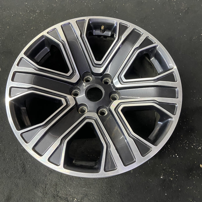 20" WAGONEER 22-23 20x9, , straight spoke Original OEM Wheel Rim - Close-Up Detail