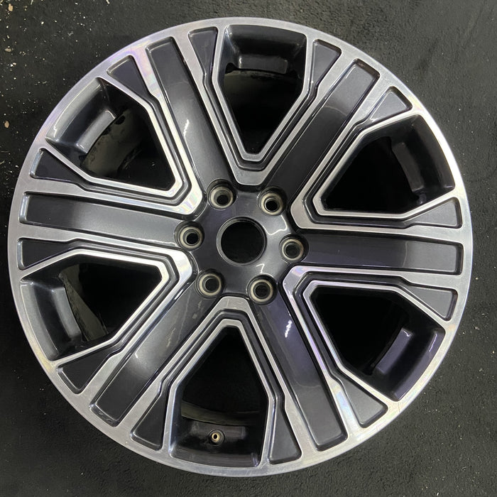 20" WAGONEER 22-23 20x9, , straight spoke Original OEM Wheel Rim - Side Profile