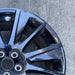 19" HIGHLANDER 19 19x7.5 alloy 12 spoke black Original OEM Wheel Rim - Close-Up Detail