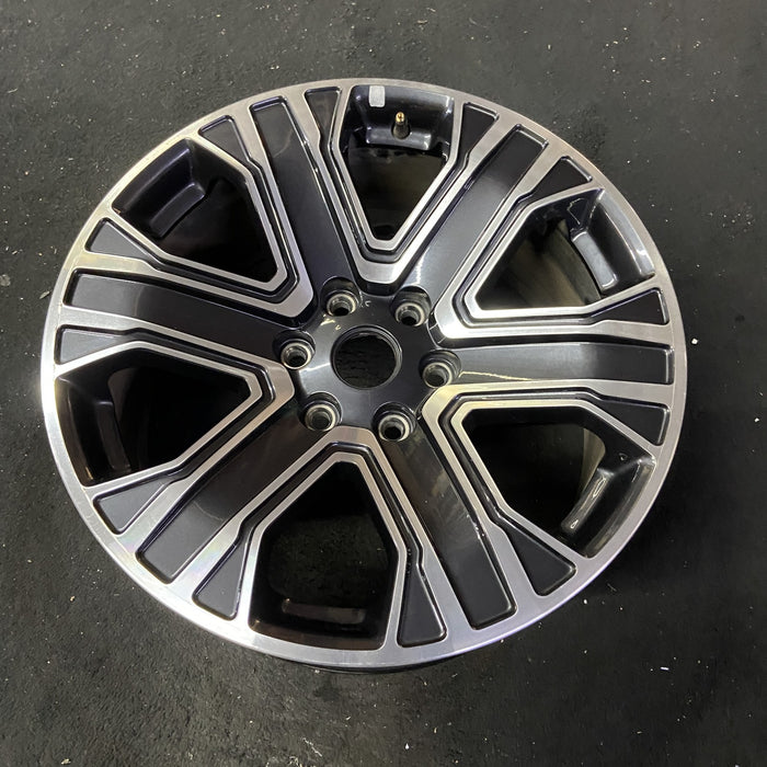 20" WAGONEER 22-23 20x9, , straight spoke Original OEM Wheel Rim - Close-Up Detail