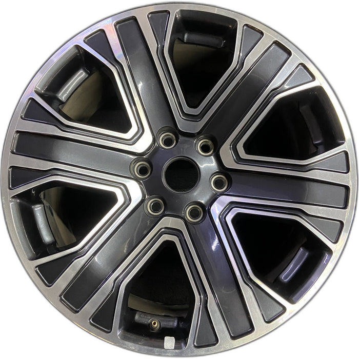 20" WAGONEER 22-23 20x9, , straight spoke Original OEM Wheel Rim - Front View
