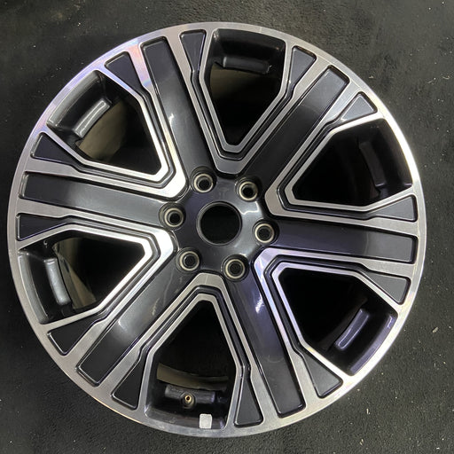 20" WAGONEER 22-23 20x9, , straight spoke Original OEM Wheel Rim - Angle View