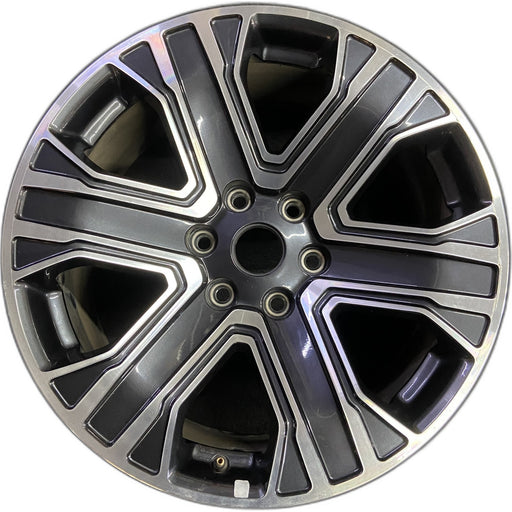 20" WAGONEER 22-23 20x9, , straight spoke Original OEM Wheel Rim - Front View