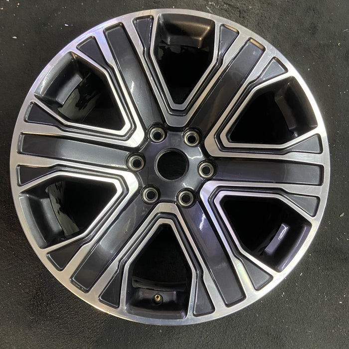 20" WAGONEER 22-23 20x9, , straight spoke Original OEM Wheel Rim - Angle View