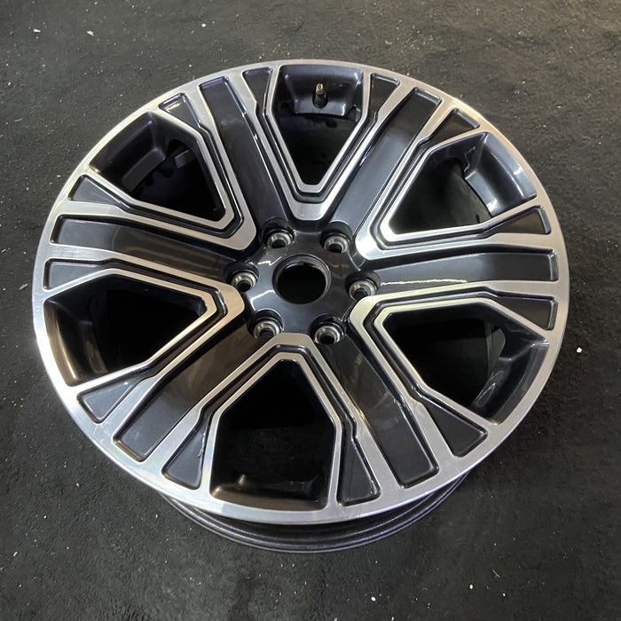 20" WAGONEER 22-23 20x9, , straight spoke Original OEM Wheel Rim - Close-Up Detail