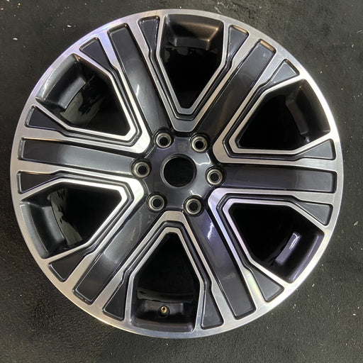 20" WAGONEER 22-23 20x9, , straight spoke Original OEM Wheel Rim - Angle View