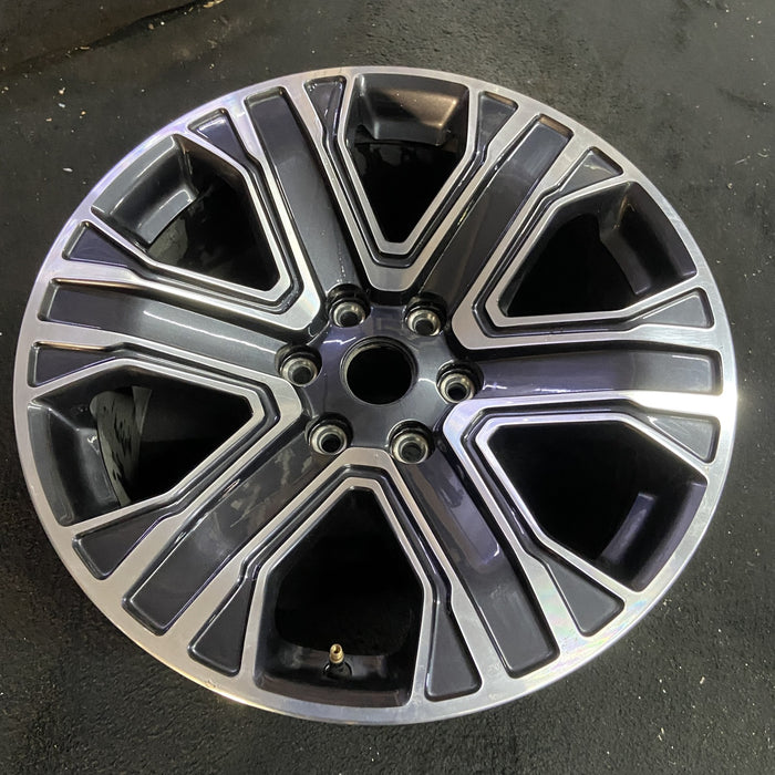 20" WAGONEER 22-23 20x9, , straight spoke Original OEM Wheel Rim - Side Profile