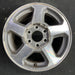 16" TRAILBLAZER 02-03 16x7, aluminum, 5 spoke, opt QC3 , Original OEM Wheel Rim - Angle View