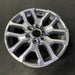 20" SEQUOIA 25 20x8, 6 Y spoke, silver Original OEM Wheel Rim - Close-Up Detail