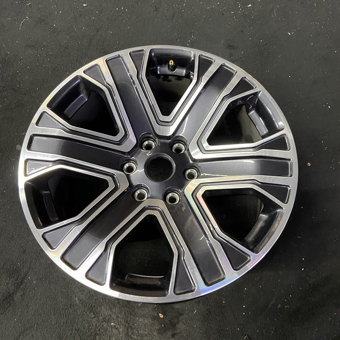 20" WAGONEER 22-23 20x9, , straight spoke Original OEM Wheel Rim - Close-Up Detail