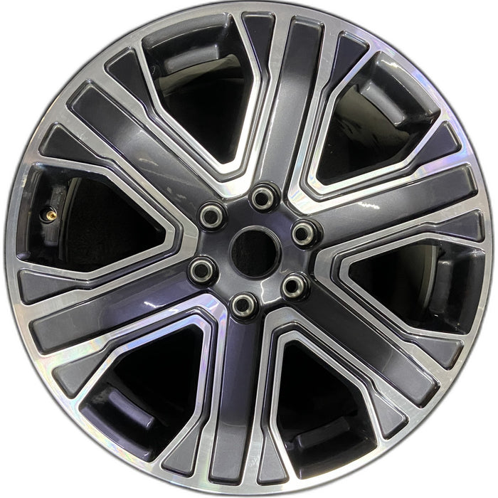 20" WAGONEER 22-23 20x9, , straight spoke Original OEM Wheel Rim - Front View