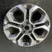 18" SOUL 20-22 gasoline model, 18x7.5 , 5 loop spoke Original OEM Wheel Rim - Close-Up Detail