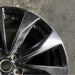 19" MAXIMA 16-17 19x8.5 alloy 10 spoke black Original OEM Wheel Rim - Close-Up Detail