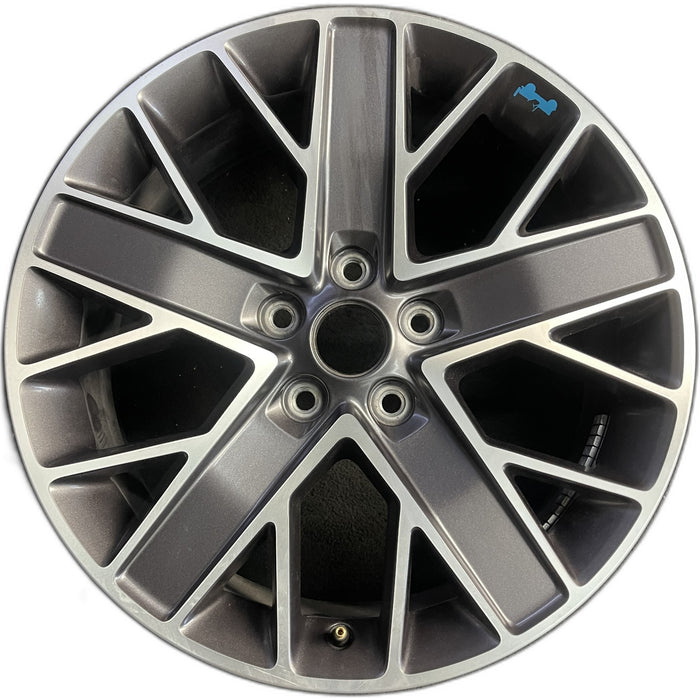 20" WRANGLER 22-23 20x8 , double spoke Original OEM Wheel Rim - Front View