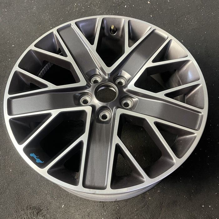 20" WRANGLER 22-23 20x8 , double spoke Original OEM Wheel Rim - Close-Up Detail