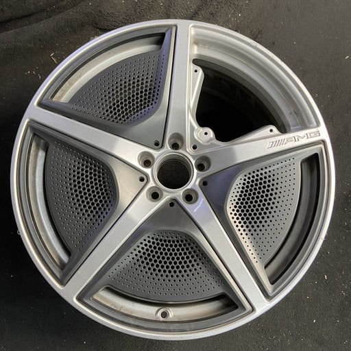 21" EQS-CLASS SUV 23 296 Type, 21x9.5, 5 spoke, w/o cladding; w/o mesh - Angle View