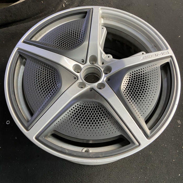 21" EQS-CLASS SUV 23 296 Type, 21x9.5, 5 spoke, w/o cladding; w/o mesh - Side Profile