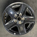 17" GLADIATOR 21 17x7.5 aluminum 5 spoke black opt WF6 Original OEM Wheel Rim - Front View