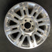 20" EXPEDITION 10-14 20x8.5 , aluminum, 16 spoke Original OEM Wheel Rim - Additional View