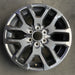 20" SEQUOIA 23 20x8, 6 Y spoke Original OEM Wheel Rim - Additional View